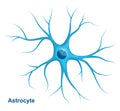 Blue Astrocyte. Cell of Neuroglia. Vector eductional illustration